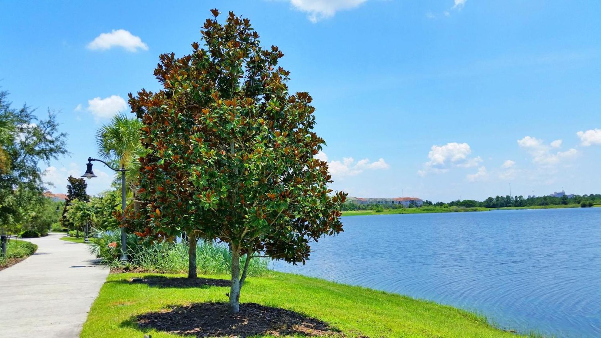 Lovely Townhome At Vista Cay Resort Near Wdw Orlando Luaran gambar
